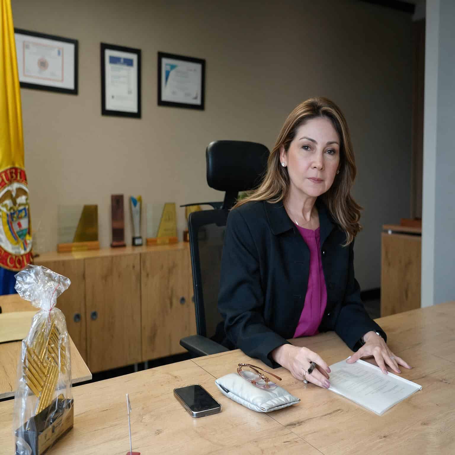 Ludmila del Carmen Vergara Rosales, nueva Superintendente de Transporte, en su despacho institucional.